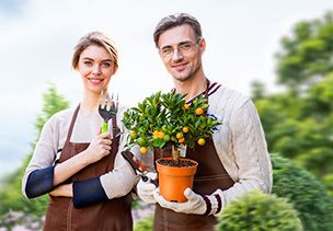 Проект «под ключ» где можно заказать по низкой цене  в Новороссийске