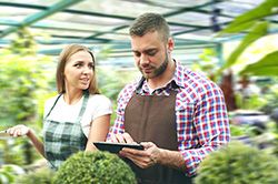 Дендроплан - верное планирование территории и решения этой задачи на уровне  в Новороссийске