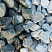 Kamenclub.ru: Щебень галтованный зеленый (змеевик) фр. 50-100 мм.  купить в Новороссийске галтовка мраморная зеленый, салатовый мрамор 12 500 руб/т   фото КАМЕНЬ КЛУБ