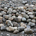Kamenclub.ru: Речной валун (Ассорти) фр.100-300 мм.  купить в Новороссийске галечник серый, темно-серый, светло-серый речная галька крупных размеров 4200 руб/т   фото КАМЕНЬ КЛУБ