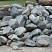 Kamenclub.ru: Гранит скальник (серо-зеленый) фр. 100-500 мм.  купить в Новороссийске гранит зеленый, серый, салатовый крупный ландшафтный валун 6 000 руб/т   фото КАМЕНЬ КЛУБ