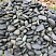 Kamenclub.ru: Темно-серый валунчик фр.100-300 мм.  купить в Новороссийске крупный природный камень серый, темно-серый, светло-серый речная галька большого размера окатанная 4500 руб/т   фото КАМЕНЬ КЛУБ