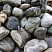 Kamenclub.ru: Речной валун Кабанчик фр.300-500 мм.  купить в Новороссийске крупный природный камень галька серый, темно-серый речной валун галечник масштабный 7000 руб/т   фото КАМЕНЬ КЛУБ