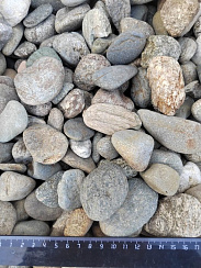 Kamenclub.ru: Галька речная окат (пестрая) фр. 20-40 мм. купить  в Новороссийске галька речная пестрая, серая, серые оттенки галька речная окатанная округлая 5000 руб/т   фото КАМЕНЬ КЛУБ