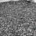 Kamenclub.ru: Щебень крошка черный (мрамор) фр. 10-20 мм.  купить в Новороссийске мрамор черный с белыми прожилками, черный, белый каменная ландшафтная декоративная крошка щебня 11000 руб/т   фото КАМЕНЬ КЛУБ