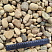 Kamenclub.ru: Галька речная окат рыжая фр. 20-40 мм. купить  в Новороссийске галька речная окатанная рыжая желтая серая округлая речная галька 5000 руб/т   фото КАМЕНЬ КЛУБ