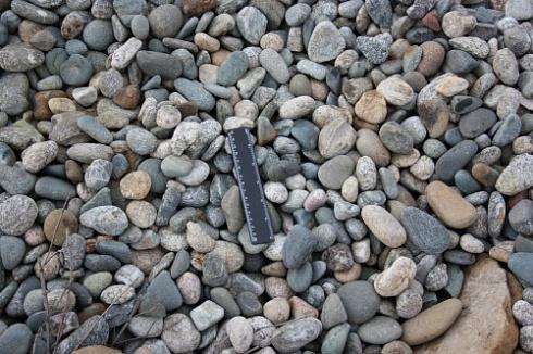 Kamenclub.ru: Галька речная окат (пестрая) фр. 20-40 мм. купить  в Новороссийске галька речная пестрая, серая, серые оттенки галька речная окатанная округлая 5000 руб/т   фото КАМЕНЬ КЛУБ