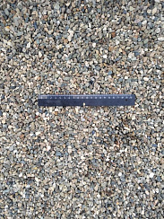 Kamenclub.ru: Галька речная окат (серая) фр.5-10 мм купить  в Новороссийске галька речная серая, серый, темно-серый, светло-серый, коричневый речная окатанная галька декоративная ландшатфная 5000 руб/т   фото КАМЕНЬ КЛУБ