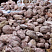 Kamenclub.ru: Розовый валунчик фр.100-300 мм.  купить в Новороссийске крупный природный камень розовый, серый молочный красный речной галечник природный 7850 руб/т   фото КАМЕНЬ КЛУБ