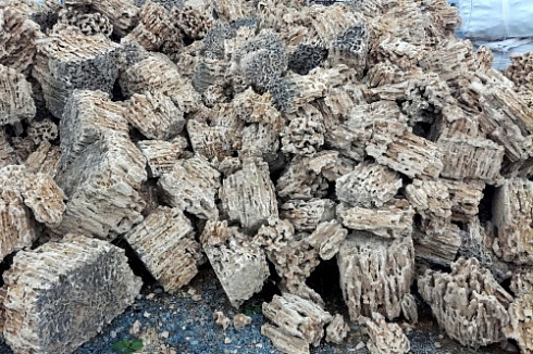 Kamenclub.ru: Крымский природный меотис фр. 100-500 мм.  купить в Новороссийске меотис бежевый рыжий молочный желтый ракушечник 4 500 руб/т   фото КАМЕНЬ КЛУБ