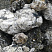 Kamenclub.ru: Черный гранит - кварцит фр. 100-500 мм.  купить в Новороссийске мрамор гранит черный с белыми прожилками, серый, белый валун скальный колотый 7000 руб/т   фото КАМЕНЬ КЛУБ