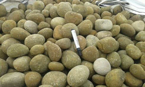 Kamenclub.ru: Песчаник ядра, фр. 100-300 мм  купить в Новороссийске песчаник бежевый серый рыжий речная галька 5 000 руб/т   фото КАМЕНЬ КЛУБ