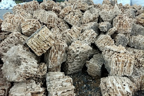 Kamenclub.ru: Крымский природный меотис фр. 100-500 мм.  купить в Новороссийске меотис бежевый рыжий молочный желтый ракушечник 4 500 руб/т   фото КАМЕНЬ КЛУБ