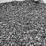 Kamenclub.ru: Щебень крошка черный (мрамор) фр. 20-40 мм.  купить в Новороссийске мрамор черный с белыми прожилками мраморная каменная крошка 11000 руб/т   фото КАМЕНЬ КЛУБ