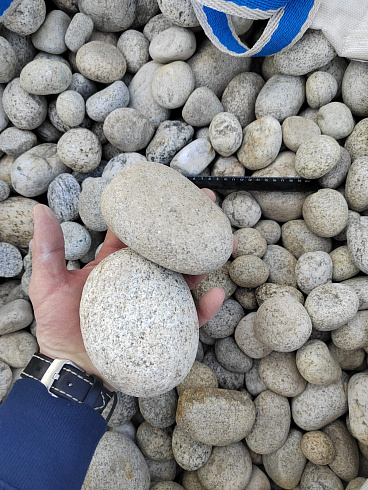 Kamenclub.ru: Галька речная окат (серо-белая) фр. 70-120 мм купить  в Новороссийске галька галечник бело-серая, серо-белая, серая, белая речная природная галька  8000 руб/т   фото КАМЕНЬ КЛУБ