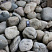 Kamenclub.ru: Темно-серый валунчик фр.100-300 мм.  купить в Новороссийске крупный природный камень серый, темно-серый, светло-серый речная галька большого размера окатанная 4500 руб/т   фото КАМЕНЬ КЛУБ