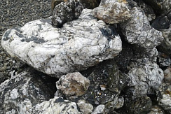 Kamenclub.ru: Черный гранит - кварцит фр. 500-1000 мм.  купить в Новороссийске гранит кварцит черный серый белый скальный колотый валун 9750 руб/т   фото КАМЕНЬ КЛУБ