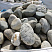 Kamenclub.ru: Речной валун (Ассорти) фр.100-300 мм.  купить в Новороссийске галечник серый, темно-серый, светло-серый речная галька крупных размеров 4200 руб/т   фото КАМЕНЬ КЛУБ