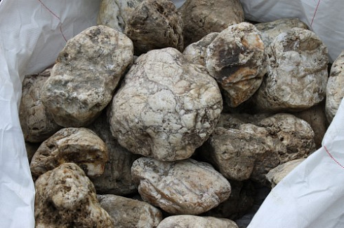 Kamenclub.ru: Кварцевый валунчик фр.100-300 мм.  купить в Новороссийске кварц белый, бежевый молочный рыжий крупный природный камень галечник 7850 руб/т   фото КАМЕНЬ КЛУБ