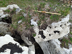 Kamenclub.ru: Выветренный известняк (степной) фр. 500-1500 мм.  купить в Новороссийске    10000 руб/т   фото КАМЕНЬ КЛУБ