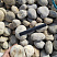 Kamenclub.ru: Галька речная окат (серо-белая) фр. 70-120 мм купить  в Новороссийске галька галечник бело-серая, серо-белая, серая, белая речная природная галька  8000 руб/т   фото КАМЕНЬ КЛУБ