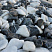 Kamenclub.ru: Мраморная крошка (щебень галтованный микс:: белый-черный) фр.20-40 мм  купить в Новороссийске мрамор белый, черный мраморный галтованный щебень 15500 руб/т   фото КАМЕНЬ КЛУБ