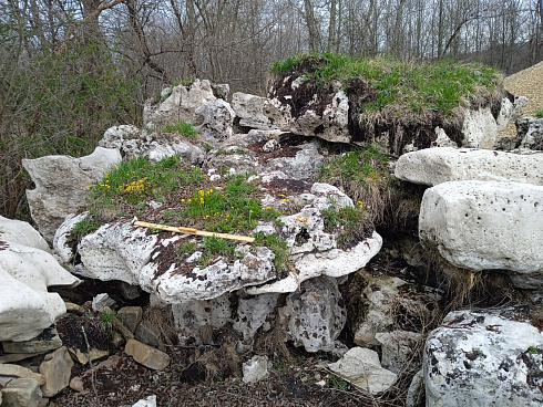 Kamenclub.ru: Выветренный известняк со мхом фр. 100-500 мм.  купить в Новороссийске известняк серый белый зеленый валун известняковый крупный 10000 руб/т   фото КАМЕНЬ КЛУБ