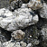 Kamenclub.ru: Черный гранит - кварцит фр. 100-500 мм.  купить в Новороссийске мрамор гранит черный с белыми прожилками, серый, белый валун скальный колотый 7000 руб/т   фото КАМЕНЬ КЛУБ