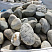 Kamenclub.ru: Речной валун (Ассорти) фр.100-300 мм.  купить в Новороссийске галечник серый, темно-серый, светло-серый речная галька крупных размеров 4200 руб/т   фото КАМЕНЬ КЛУБ