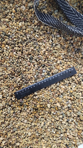 Kamenclub.ru: Галька окат (серо-желтая) фр.5-10 мм. купить  в Новороссийске галька речная рыжий, желтый, рыжий, серо-желтый речная окатанная галька декоративная 5000 руб/т   фото КАМЕНЬ КЛУБ