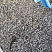 Kamenclub.ru: Галька речная окат (серая) фр.3-5 мм купить  в Новороссийске галька речная серая бежевый темно-серый окатанный речной камень округлый 9500 руб/т   фото КАМЕНЬ КЛУБ