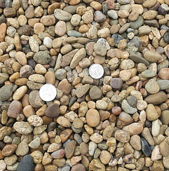 Kamenclub.ru: Галька окат (серо-желтая) фр.10-20 мм. купить  в Новороссийске галька серо-желтая, рыжая, серый речная окатанная округлая галька 5000 руб/т   фото КАМЕНЬ КЛУБ