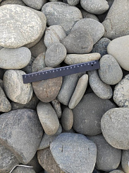 Kamenclub.ru: Галька речная плоская (ассорти) фр. 70-150 мм. купить в Новороссийске галька галечник серый белый темно-серый синий светло-серый плоская природная галька  9000 руб/т   фото КАМЕНЬ КЛУБ