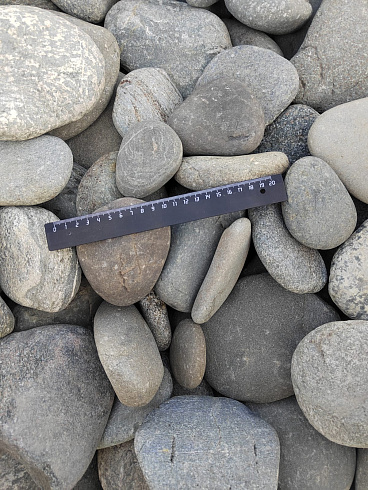 Kamenclub.ru: Галька речная плоская (серо-белая) фр. 70-120 мм. купить  в Новороссийске галька галечник речной серый, белый окатанная плоская  природная галька 9000 руб/т   фото КАМЕНЬ КЛУБ