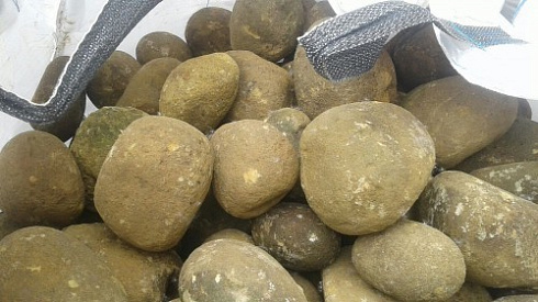 Kamenclub.ru: Песчаник ядра, фр. 100-300 мм  купить в Новороссийске песчаник бежевый серый рыжий речная галька 5 000 руб/т   фото КАМЕНЬ КЛУБ