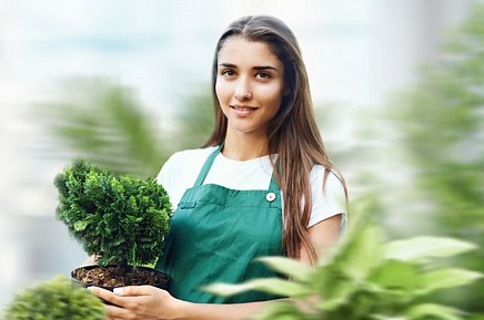 В каком стиле оформить участок? Разбираемся в ландшафтном дизайне - у нас можно заказать природный камень по низким ценам - как заказать, где купить без посредников, куда обратиться, быстро с доставкой под ключ - в Камень Клуб