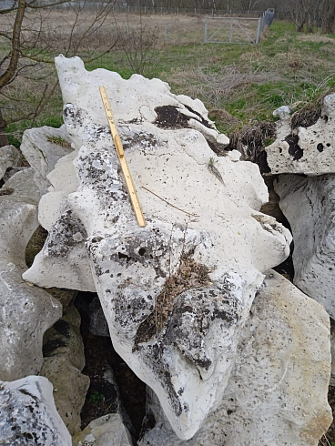 Kamenclub.ru: Выветренный известняк со мхом фр. 100-500 мм.  купить в Новороссийске известняк серый белый зеленый валун известняковый крупный 10000 руб/т   фото КАМЕНЬ КЛУБ