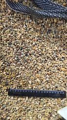 Kamenclub.ru: Галька окат (серо-желтая) фр.5-10 мм. купить  в Новороссийске галька речная рыжий, желтый, рыжий, серо-желтый речная окатанная галька декоративная 5000 руб/т   фото КАМЕНЬ КЛУБ