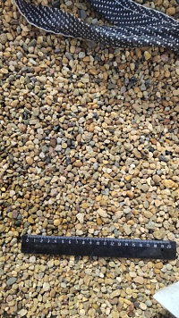 Kamenclub.ru: Галька окат (серо-желтая) фр.5-10 мм. купить  в Новороссийске галька речная рыжий, желтый, рыжий, серо-желтый речная окатанная галька декоративная 5000 руб/т   фото КАМЕНЬ КЛУБ