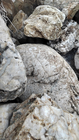 Kamenclub.ru: Кварцевый валунчик фр.100-300 мм.  купить в Новороссийске кварц белый, бежевый молочный рыжий крупный природный камень галечник 7850 руб/т   фото КАМЕНЬ КЛУБ