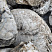 Kamenclub.ru: Кварцевый валунчик фр.100-300 мм.  купить в Новороссийске кварц белый, бежевый молочный рыжий крупный природный камень галечник 7850 руб/т   фото КАМЕНЬ КЛУБ