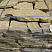 Kamenclub.ru: Песчаник пластушка желтый с рисунком (3 см)  купить в Новороссийске песчаник желтый с рисунком, рыжий, желтый песчаник пластушка ландшафтная рваная 8 500 руб/м3   фото КАМЕНЬ КЛУБ