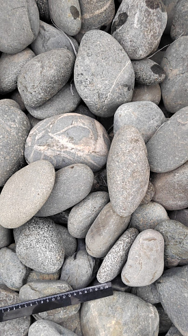 Kamenclub.ru: Галька речная окат (темно-серая) фр. 70-150 мм. купить  в Новороссийске галька речная темно-серая, синяя, серая речная галька округлая  8000 руб/т   фото КАМЕНЬ КЛУБ