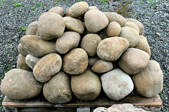 Kamenclub.ru: Песчаник ядра, фр. 100-300 мм  купить в Новороссийске песчаник бежевый серый рыжий речная галька 5 000 руб/т   фото КАМЕНЬ КЛУБ