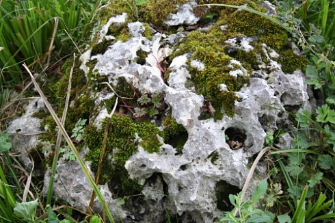 Kamenclub.ru: Выветренный известняк со мхом фр. 100-500 мм.  купить в Новороссийске известняк серый белый зеленый валун известняковый крупный 10000 руб/т   фото КАМЕНЬ КЛУБ