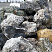 Kamenclub.ru: Черный гранит - кварцит фр. 100-500 мм.  купить в Новороссийске мрамор гранит черный с белыми прожилками, серый, белый валун скальный колотый 7000 руб/т   фото КАМЕНЬ КЛУБ