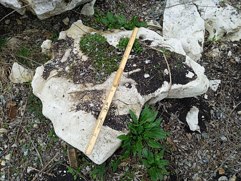 Kamenclub.ru: Выветренный известняк (степной) фр. 500-1500 мм.  купить в Новороссийске    10000 руб/т   фото КАМЕНЬ КЛУБ