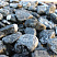 Kamenclub.ru: Щебень галтованный черный (мрамор) фр.20-40 мм.  купить в Новороссийске мрамор черный с белыми прожилками мрамор окатанный округлый 15000 руб/т   фото КАМЕНЬ КЛУБ