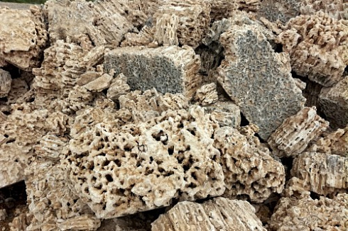 Kamenclub.ru: Крымский природный меотис фр. 100-500 мм.  купить в Новороссийске меотис бежевый рыжий молочный желтый ракушечник 4 500 руб/т   фото КАМЕНЬ КЛУБ