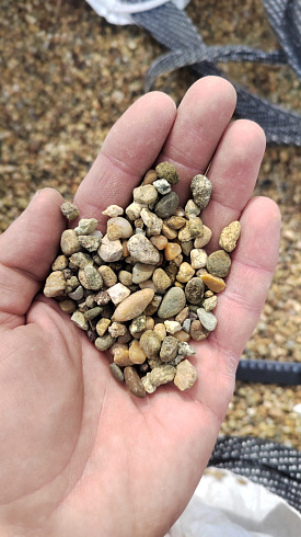 Kamenclub.ru: Галька окат (серо-желтая) фр.5-10 мм. купить  в Новороссийске галька речная рыжий, желтый, рыжий, серо-желтый речная окатанная галька декоративная 5000 руб/т   фото КАМЕНЬ КЛУБ